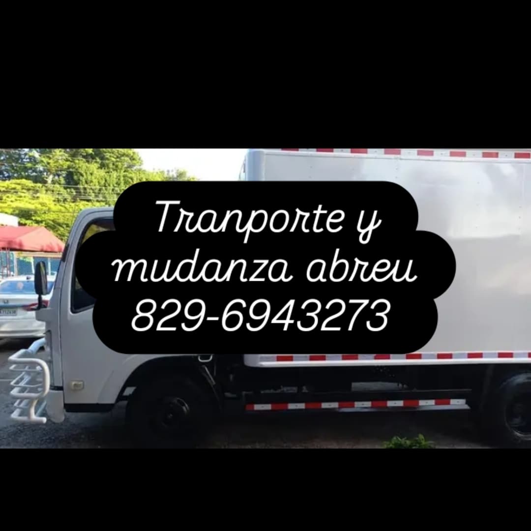 servicios profesionales - transporte de mudanza y alcarreo 7