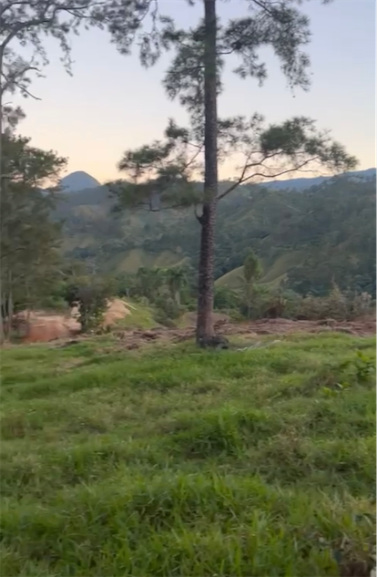 solares y terrenos - Vendó 22,000 Mts. En Jarabacoa 
A solo 15 minutos del pueblo de Jarabacoa 6