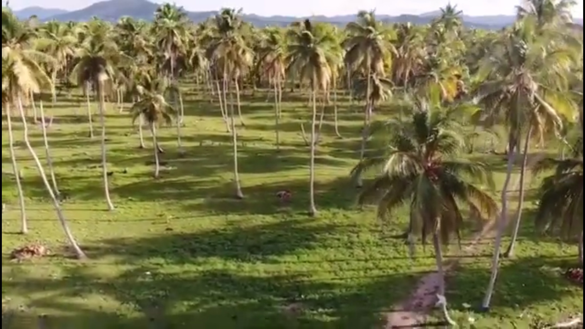 solares y terrenos - Vendo terreno en miche una de las Playa más hermosa del caribe ,2,634,585 Mts. 