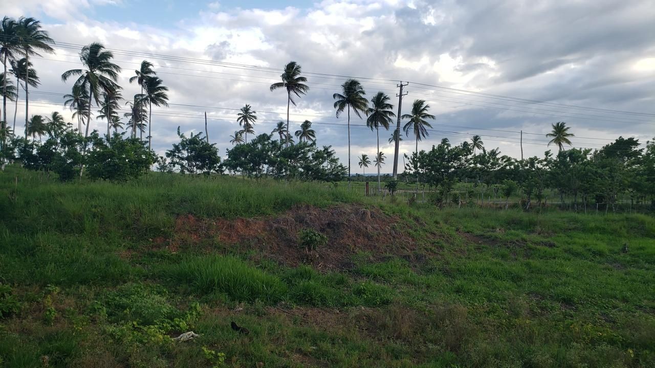 solares y terrenos - Solar en venta en Sanchez - Samana 0