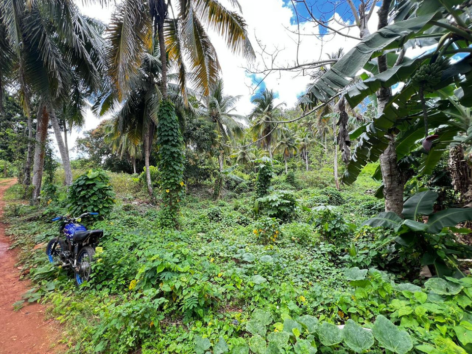 solares y terrenos - Terreno en Rincon Samana 1