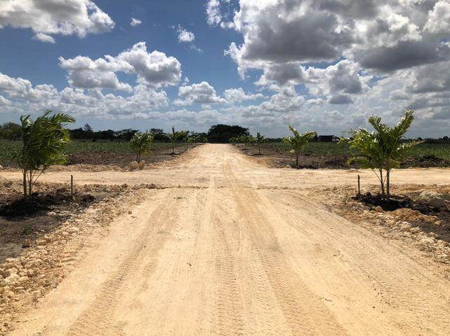 solares y terrenos - Terreno en venta Punta Cana. 5