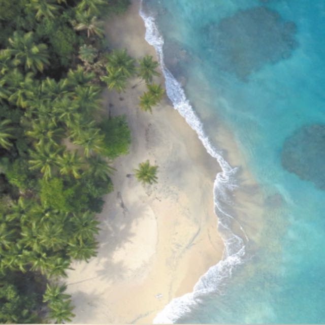 solares y terrenos - Vendo terreno en miche en primera línea de playa 146,400 4