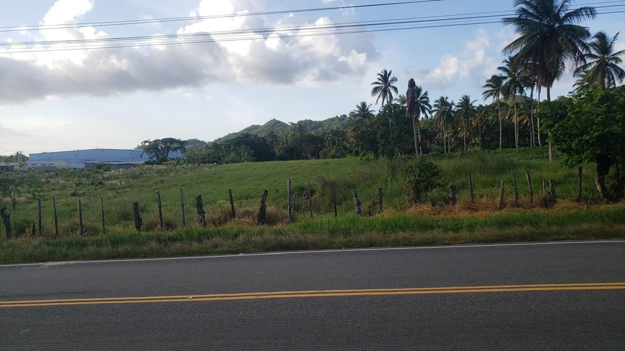 solares y terrenos - Solar en venta en Sanchez - Samana 1