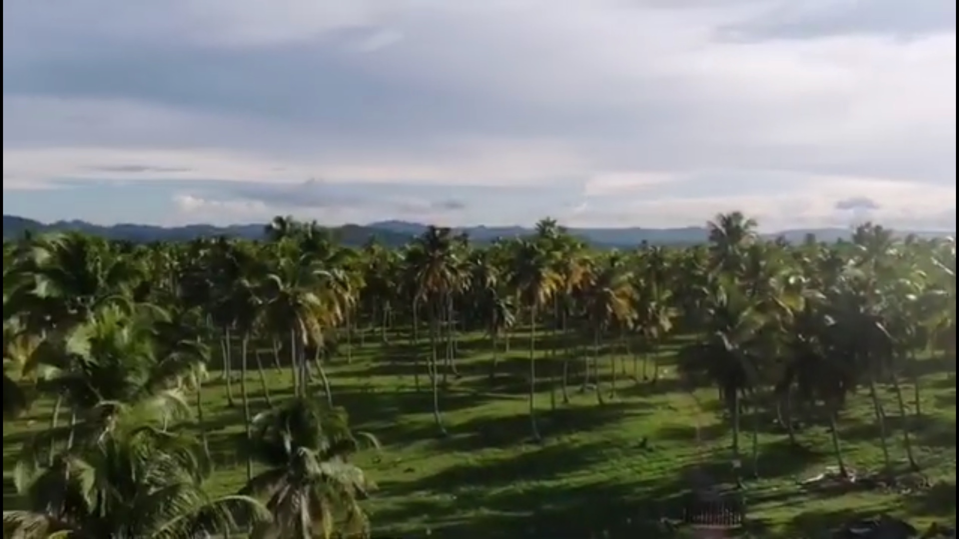 solares y terrenos - Vendo terreno en miche una de las Playa más hermosa del caribe ,2,634,585 Mts.  2