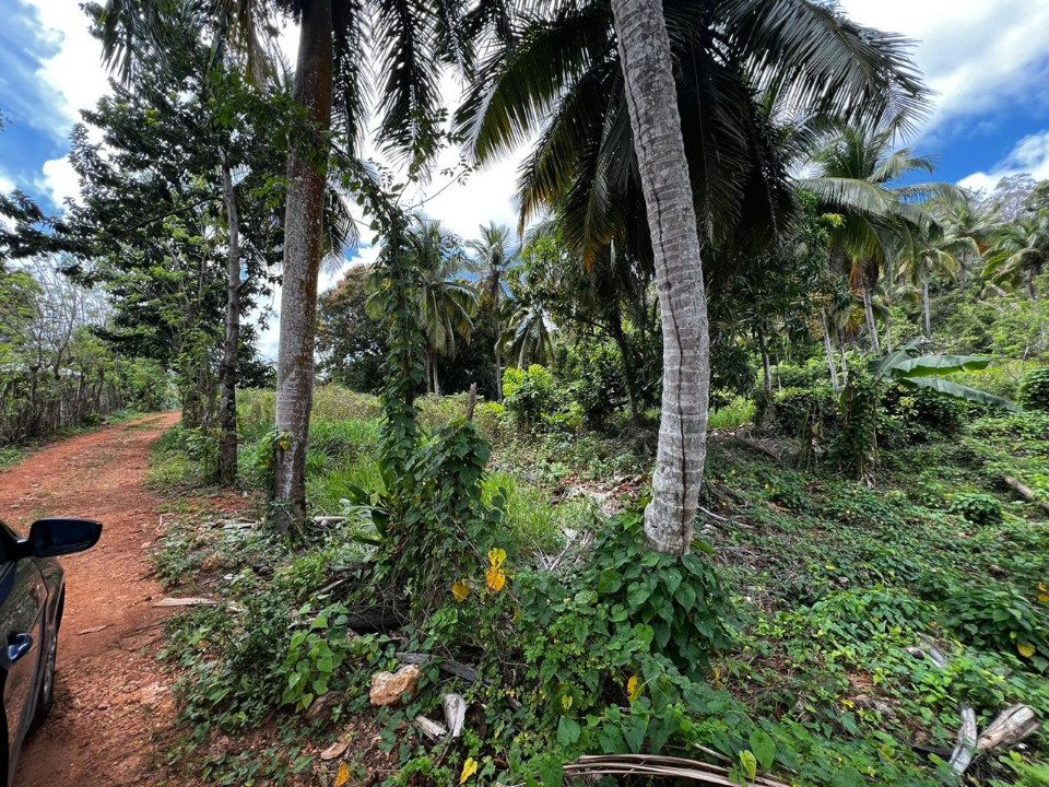 solares y terrenos - Terreno en Rincon Samana 3