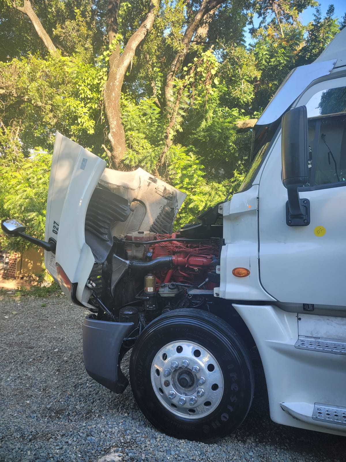 camiones y vehiculos pesados - Freightliner Cascadia 2014 recién importado  1