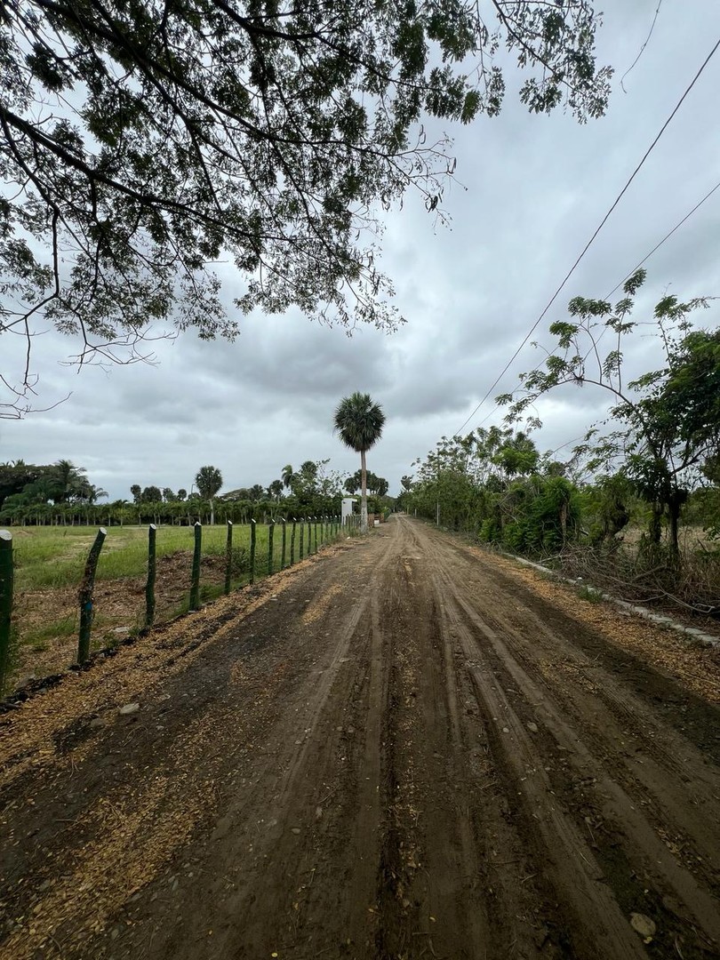 solares y terrenos - Terreno de 2778 Mts2 a 5 Minutos Circunvalacion Norte 3