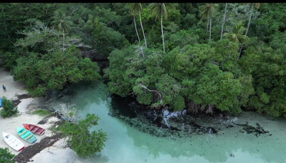 solares y terrenos - Terreno en Rincon Samana 4