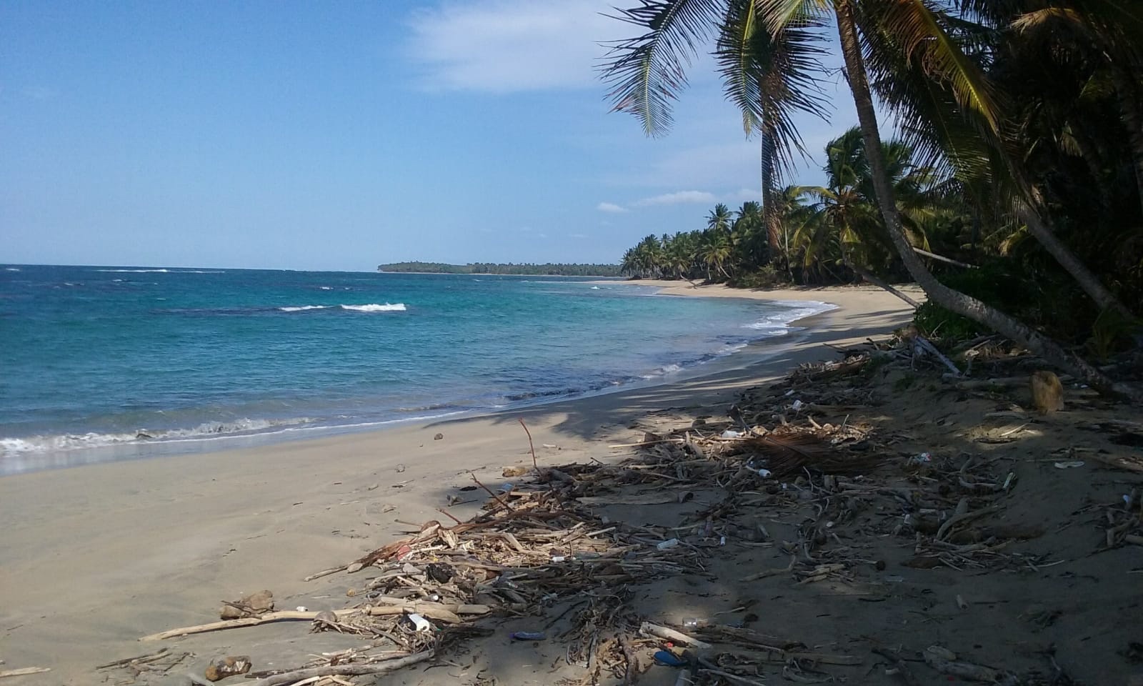 solares y terrenos - Vendo terreno en miche en primera línea de playa 146,400 8