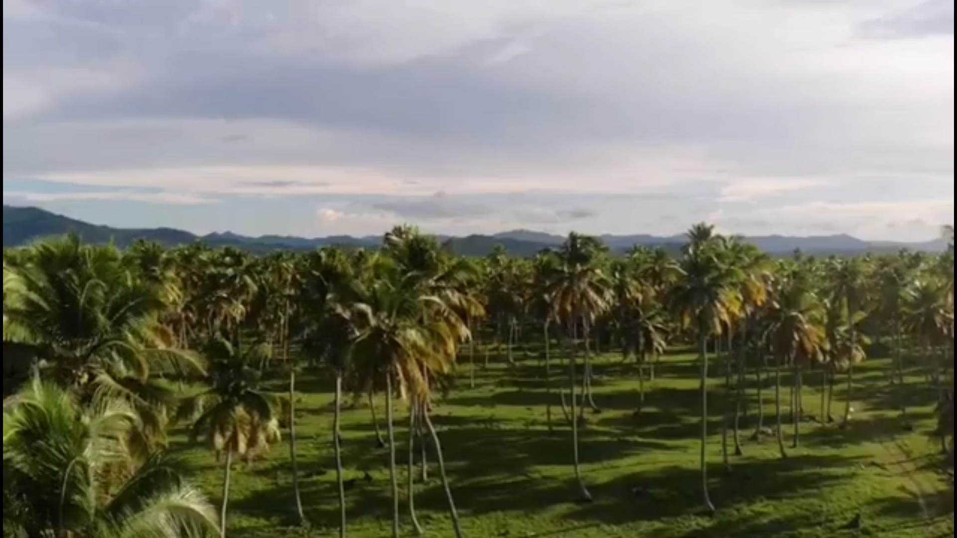 solares y terrenos - Vendo terreno en miche una de las Playa más hermosa del caribe ,2,634,585 Mts.  5