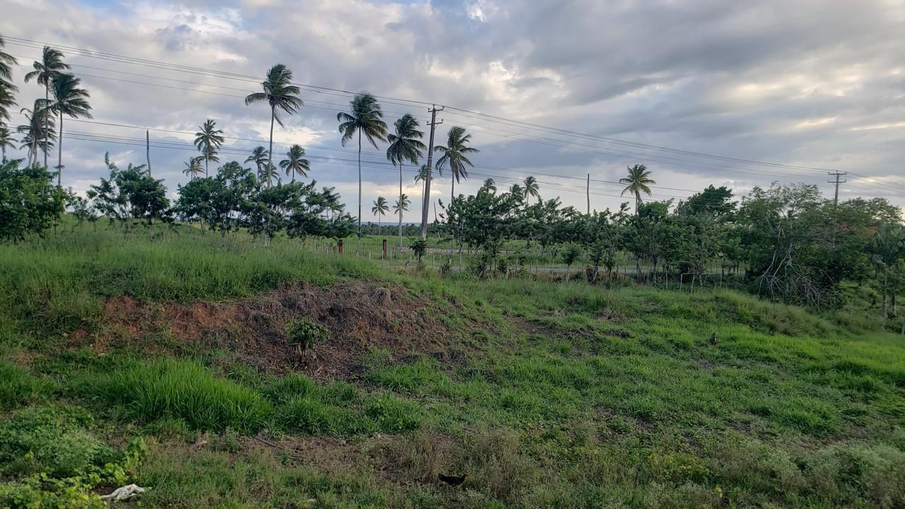 solares y terrenos - Solar en venta en Sanchez - Samana 5