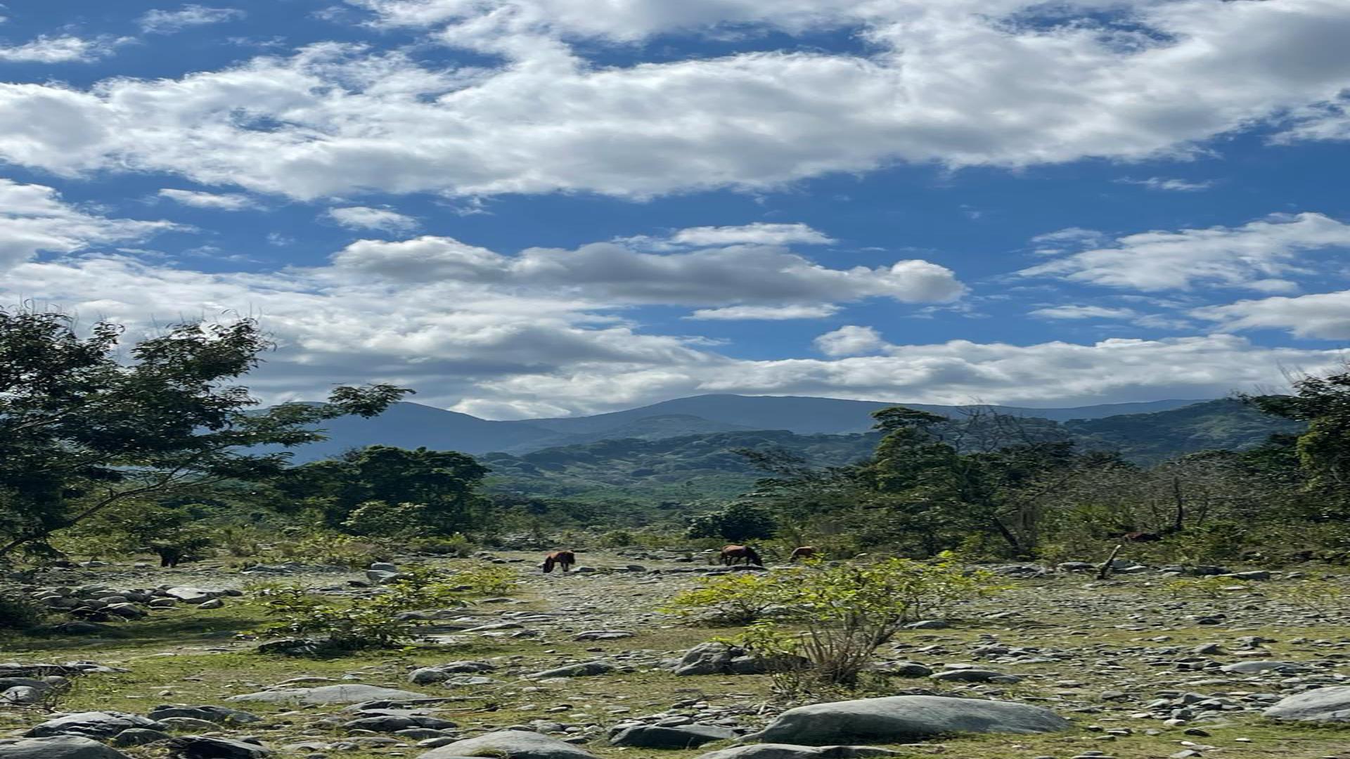 solares y terrenos - Terreno en Villa Altagracia