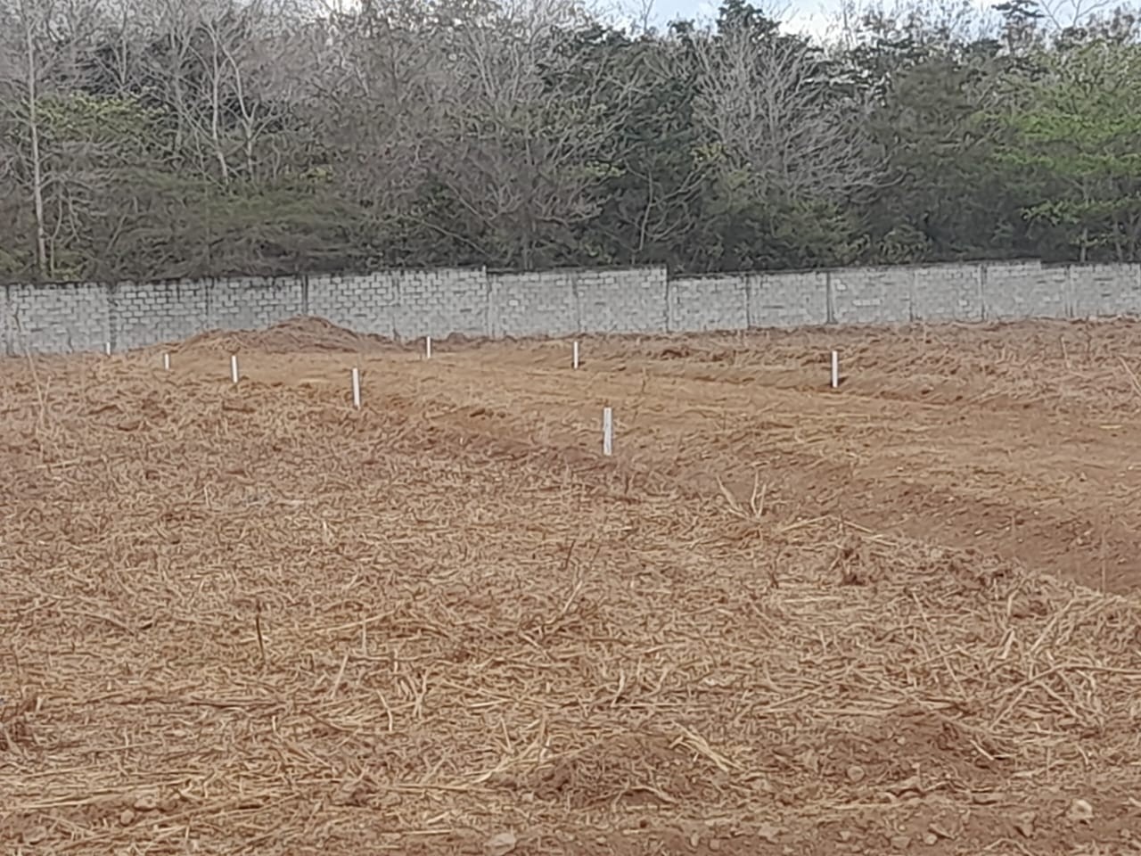 solares y terrenos - Venta de solares en Las Trinitarias Bay en Bayaguana