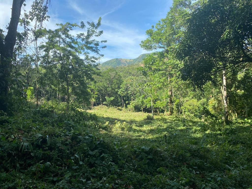 solares y terrenos - Vendo Finca en la Cumbre