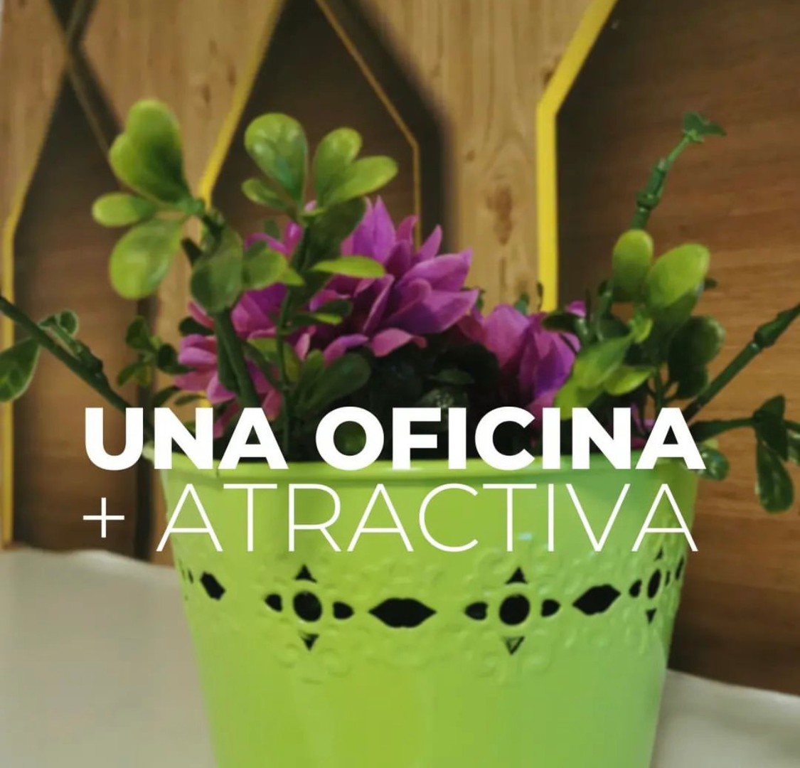 oficinas y locales comerciales - Espacios de Oficinas y Consultorios Centro Ciudad. Planes Flexibles y Económicos 2