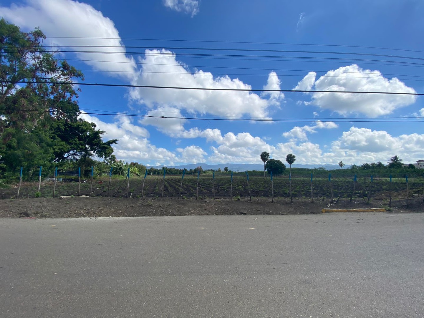 solares y terrenos - Terreno con 13,852 Mts2 en Limonal, Licey  3