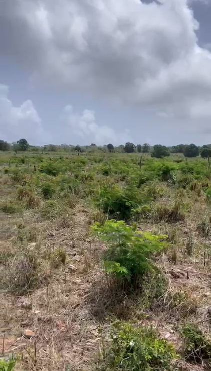 solares y terrenos - Gran Oportunidad de Inversión! Terreno de 20,121m² 2