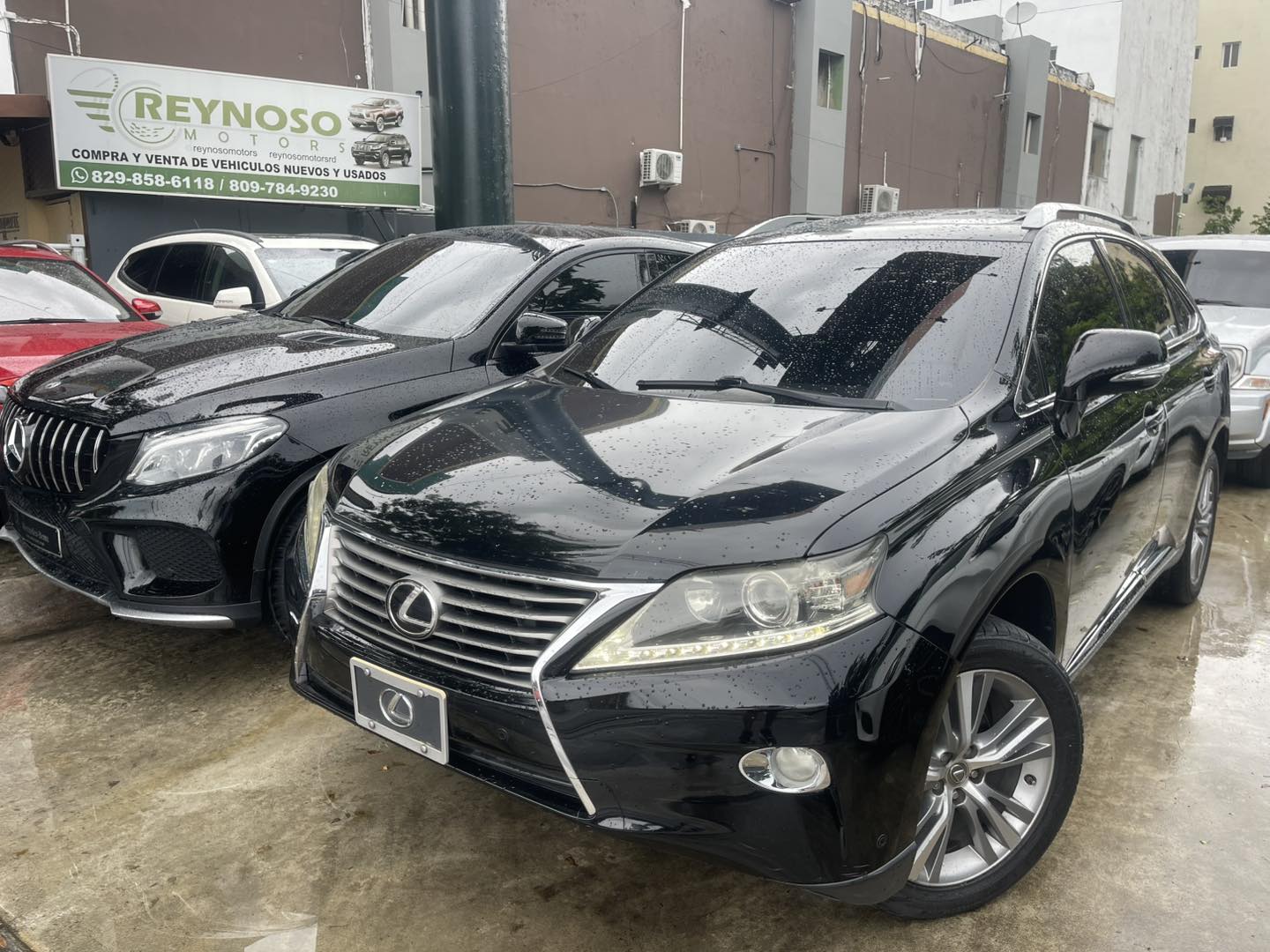 jeepetas y camionetas - LEXUS RX350 2015 2