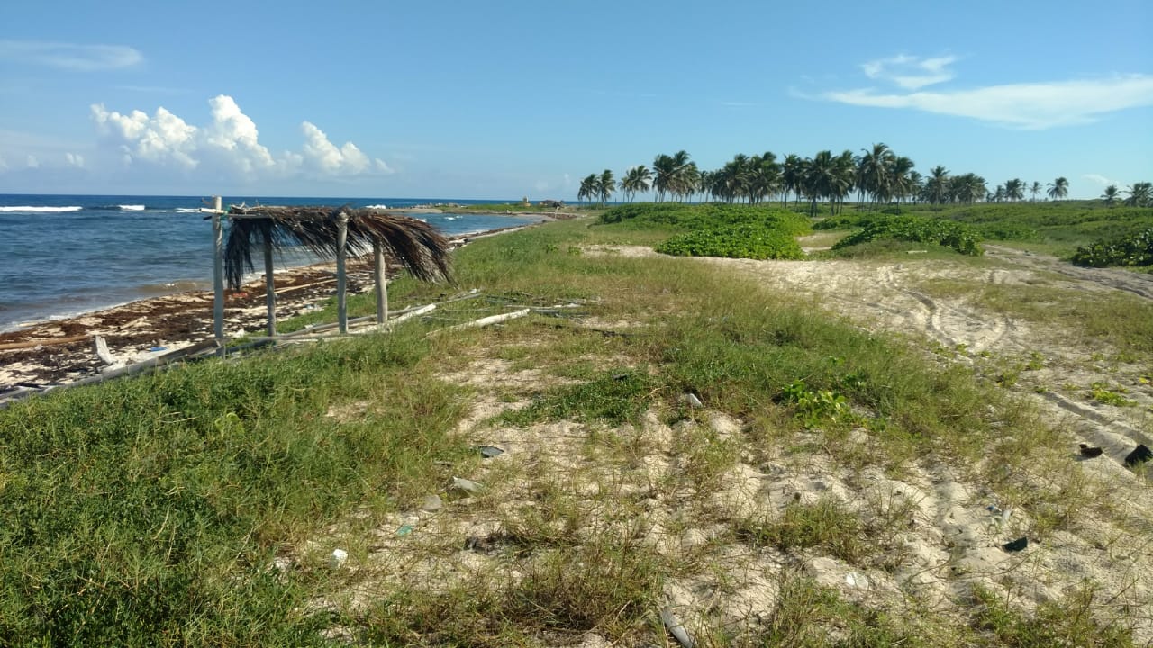 solares y terrenos - Venta de terreno en punta cana 