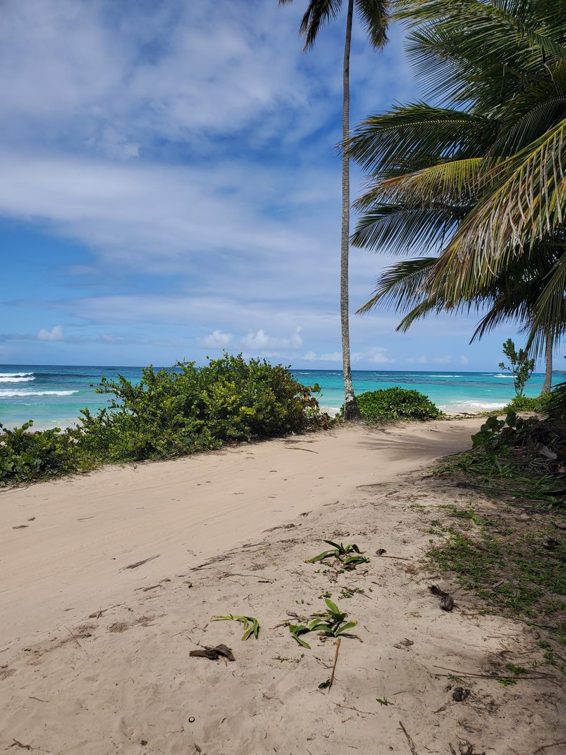 solares y terrenos - Terreno de 10,358 Mts2 en Playa Rincon, Samana  0