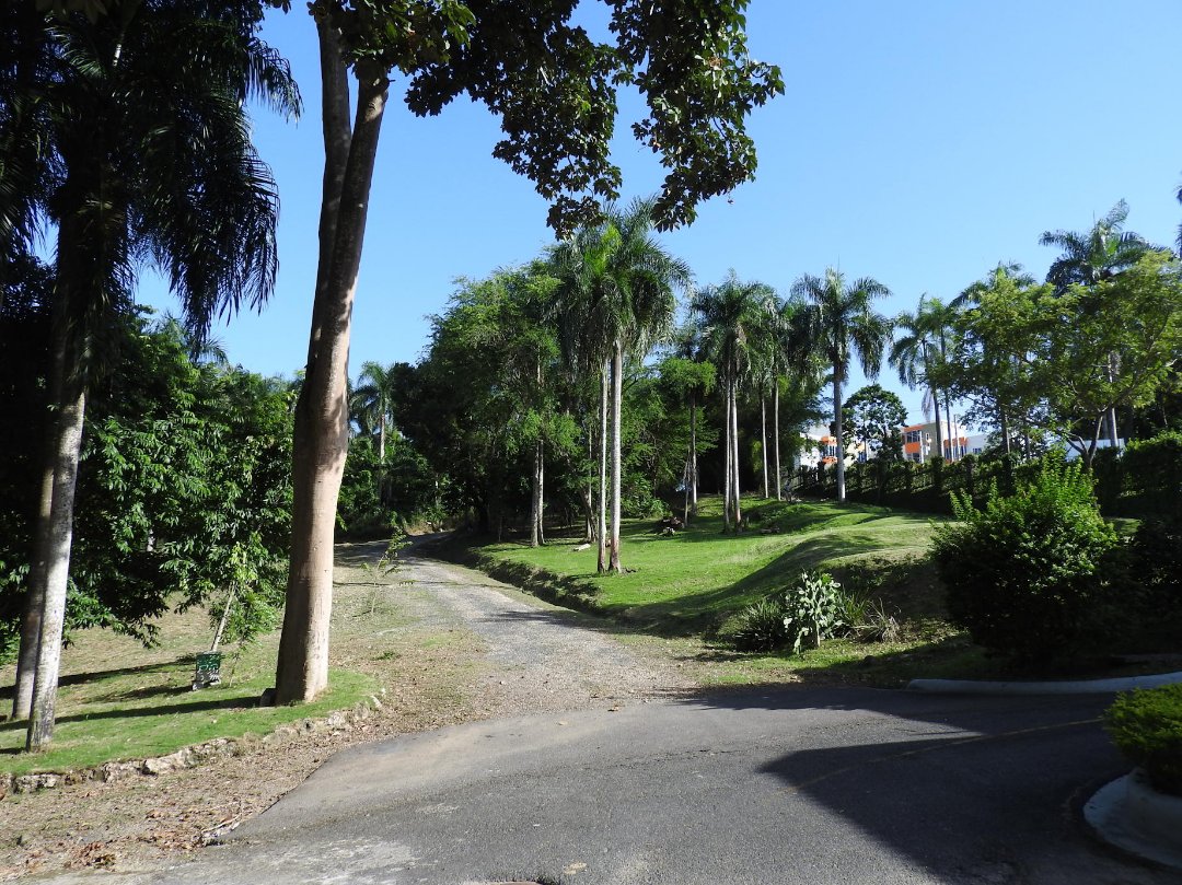 solares y terrenos - Arroyo Manzano, solar bonito para proyecto residencial  7