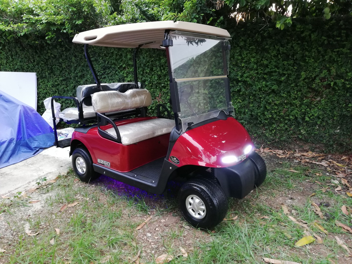 vehiculos recreativos - Carros de golf , Carritos de Golf, Golf cart 2