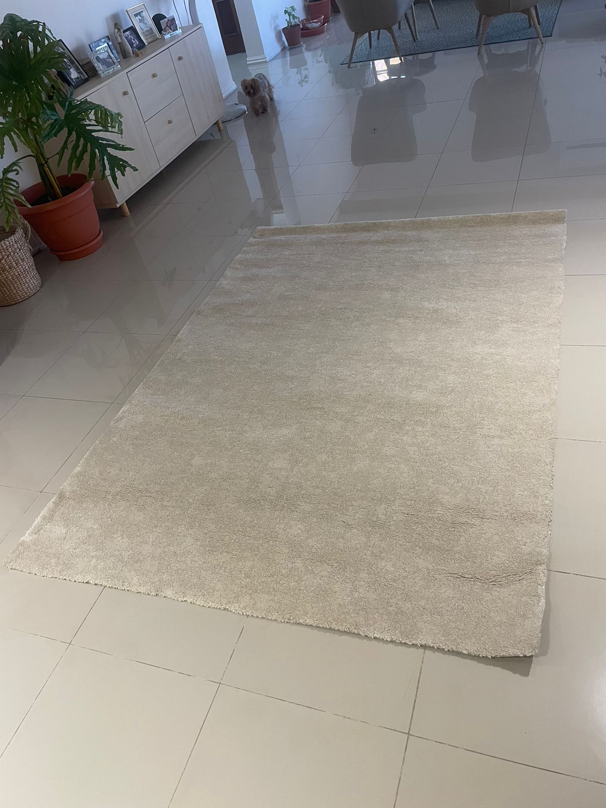 decoración y accesorios - Alfombra Crema Nueva STOENSE 1