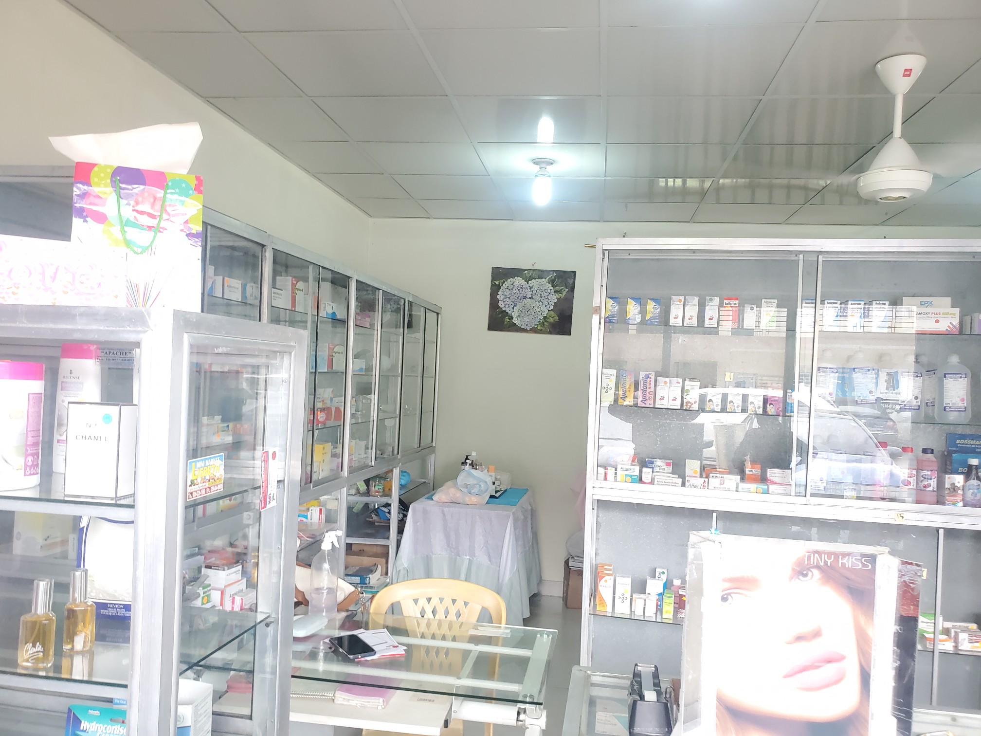 oficinas y locales comerciales - ¿Esta buscando invertir en un negocio seguro y rentable ? Farmacia en Santiago 
 1