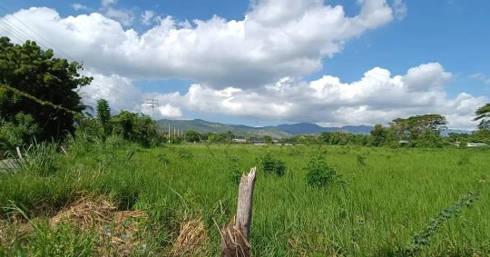 solares y terrenos - Vendo terreno en la 27 de febrero circulación norte Santiago  3