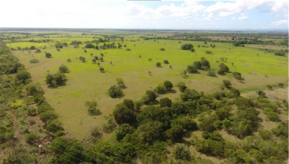 solares y terrenos - OPORTUNIDAD TERRENO ROMANA 