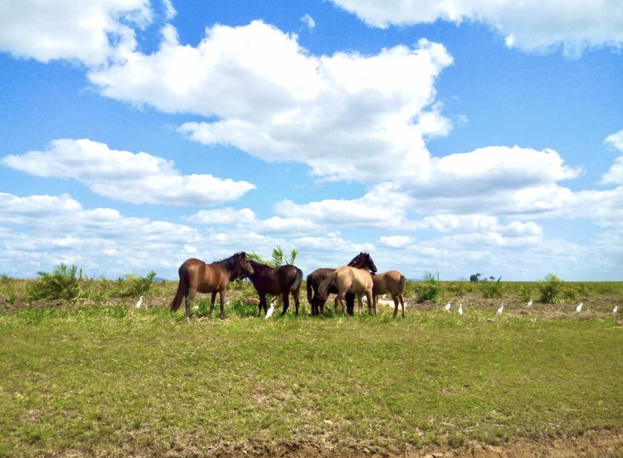 casas vacacionales y villas - Oferta de Fincas proyecto Ecoturistico Campestre  8