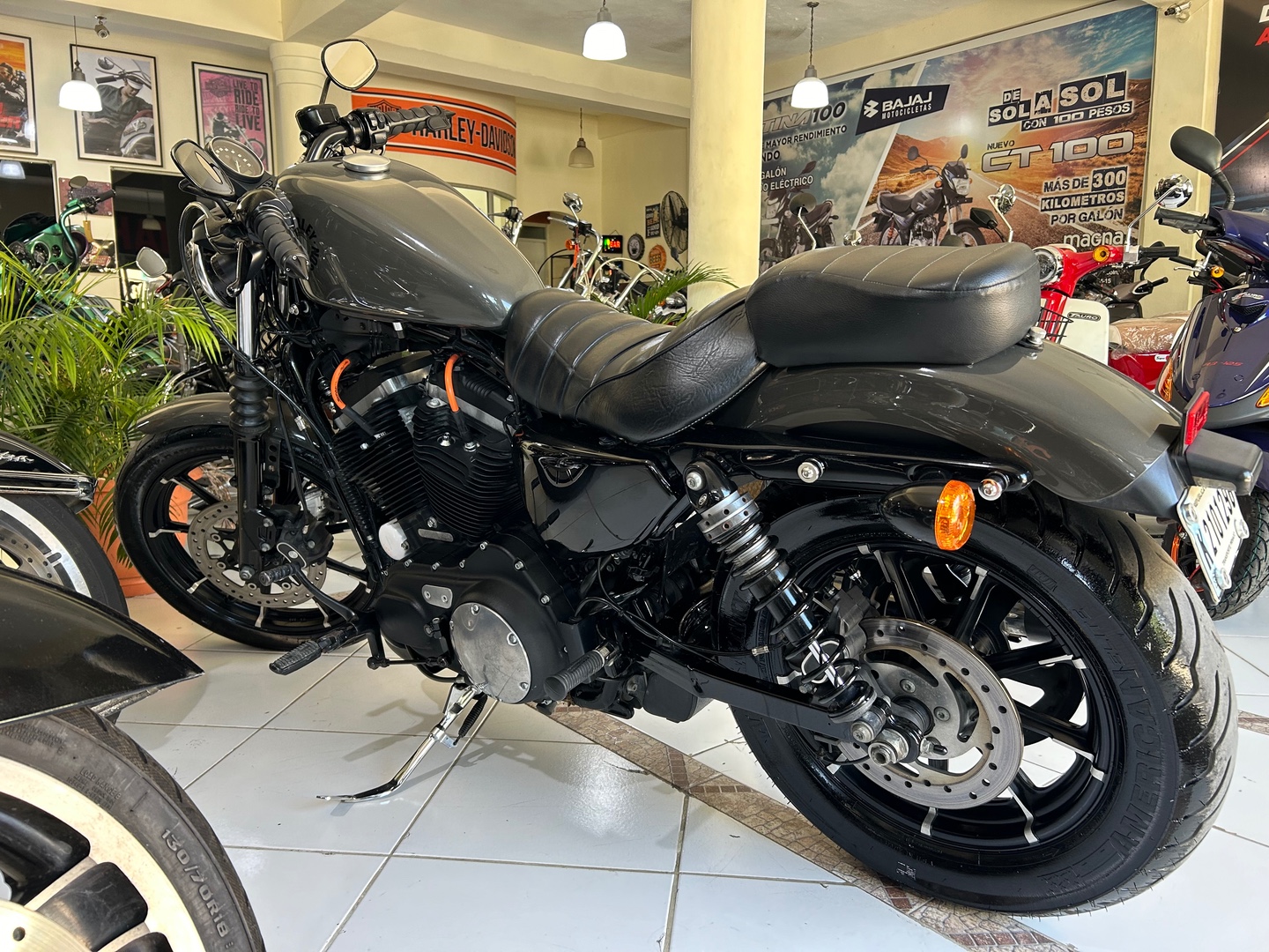 motores y pasolas - Harley Davidson 883 año 2019 1