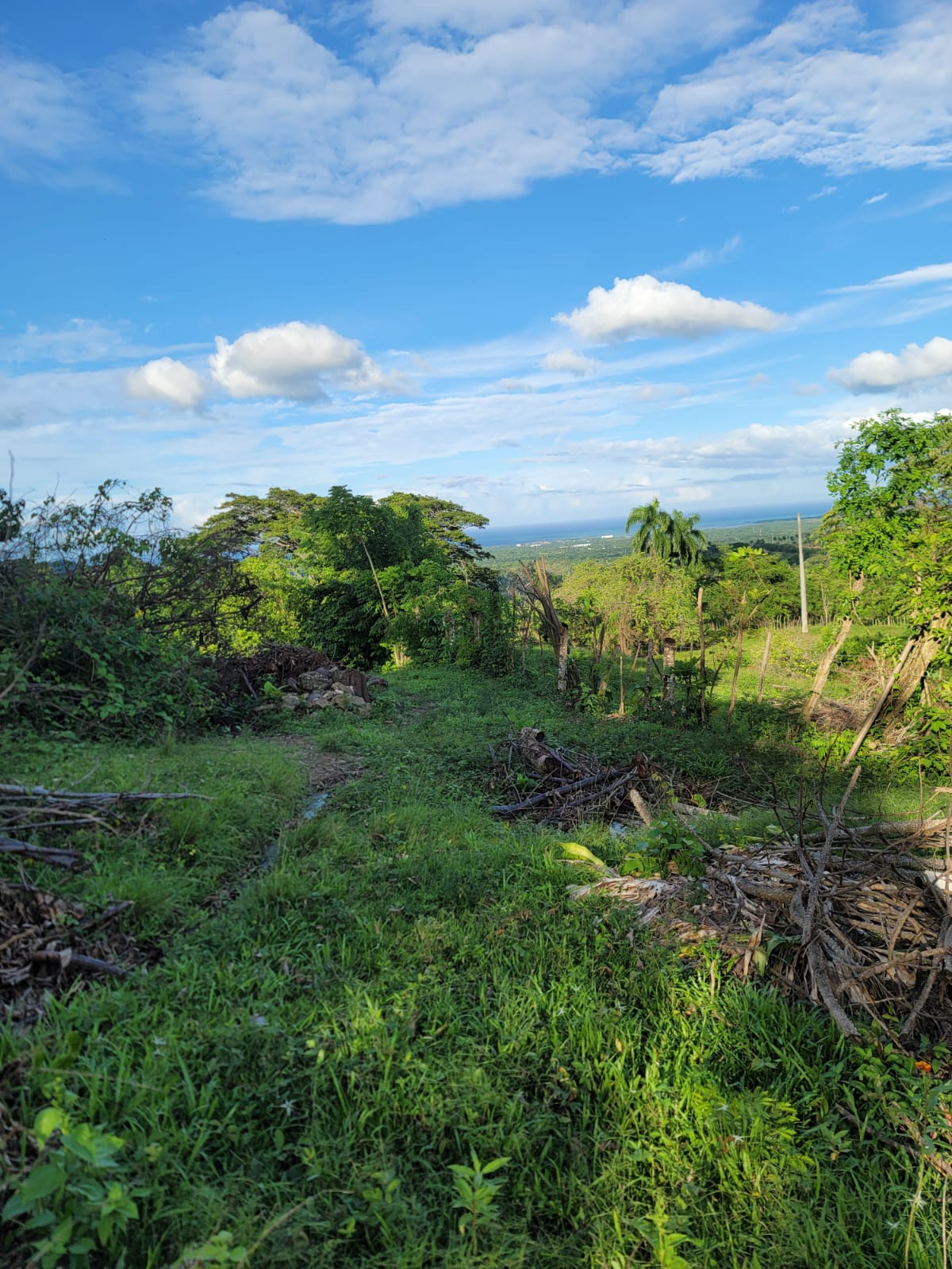 solares y terrenos - SE VENDE TERRENO EN EL CUPE CON VISTA AL MAR