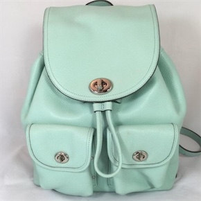 carteras y maletas - COACH mochila cartera en piel color MINT - Backpack Bag Mint Color 1