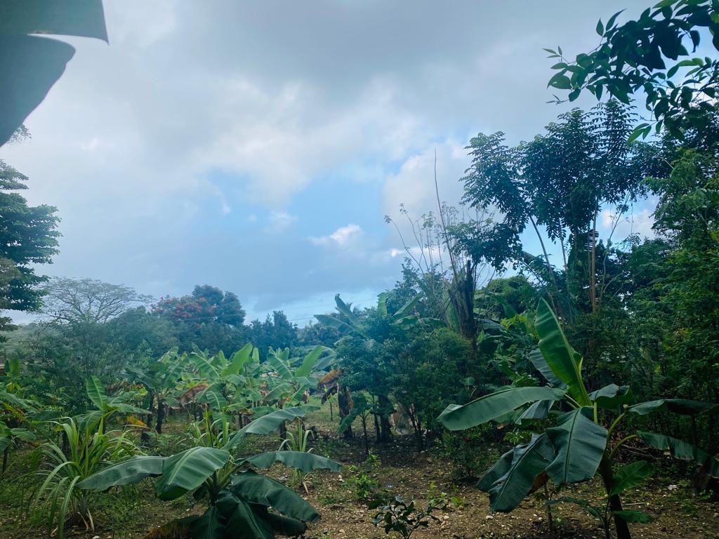 solares y terrenos - Se vende solar en comunidad de camu, puerto plata  2