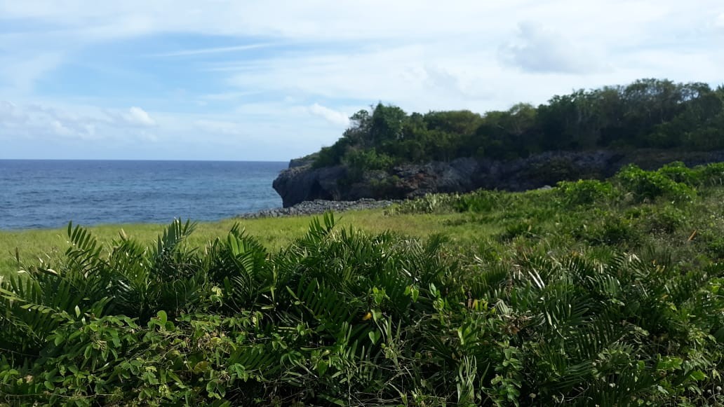 solares y terrenos - Terreno de 52.000 m2 en Las Galeras, fronte al mar 3