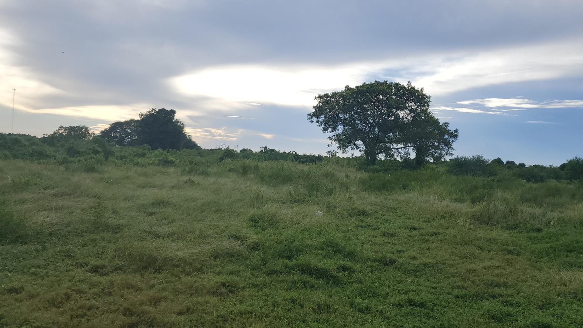 solares y terrenos - Solar / terreno de 150,000 metros en la Ecológica con Autovia de Samaná 2