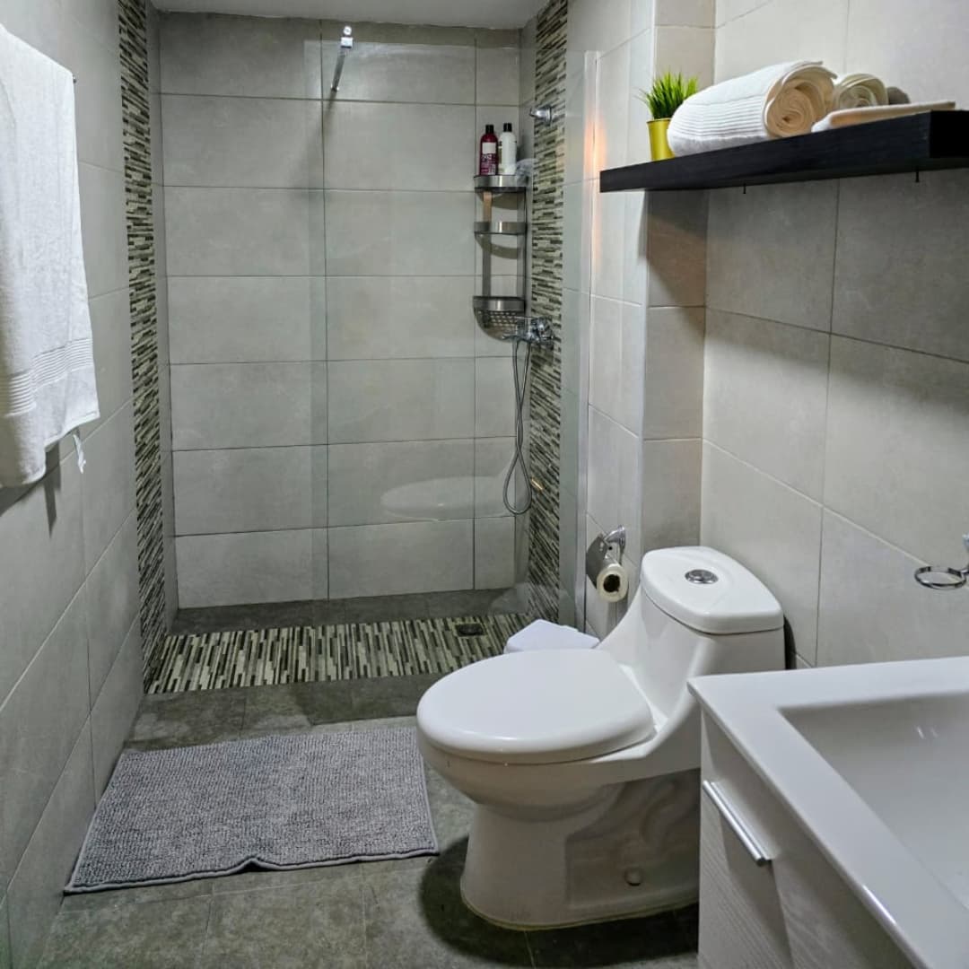 apartamentos - Alquiler de Apartamento en la zona universitaria  1