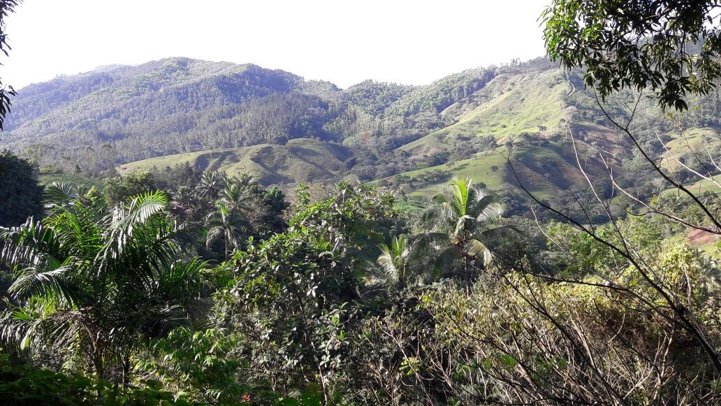 solares y terrenos - Venta de Solares en la Cumbre 1