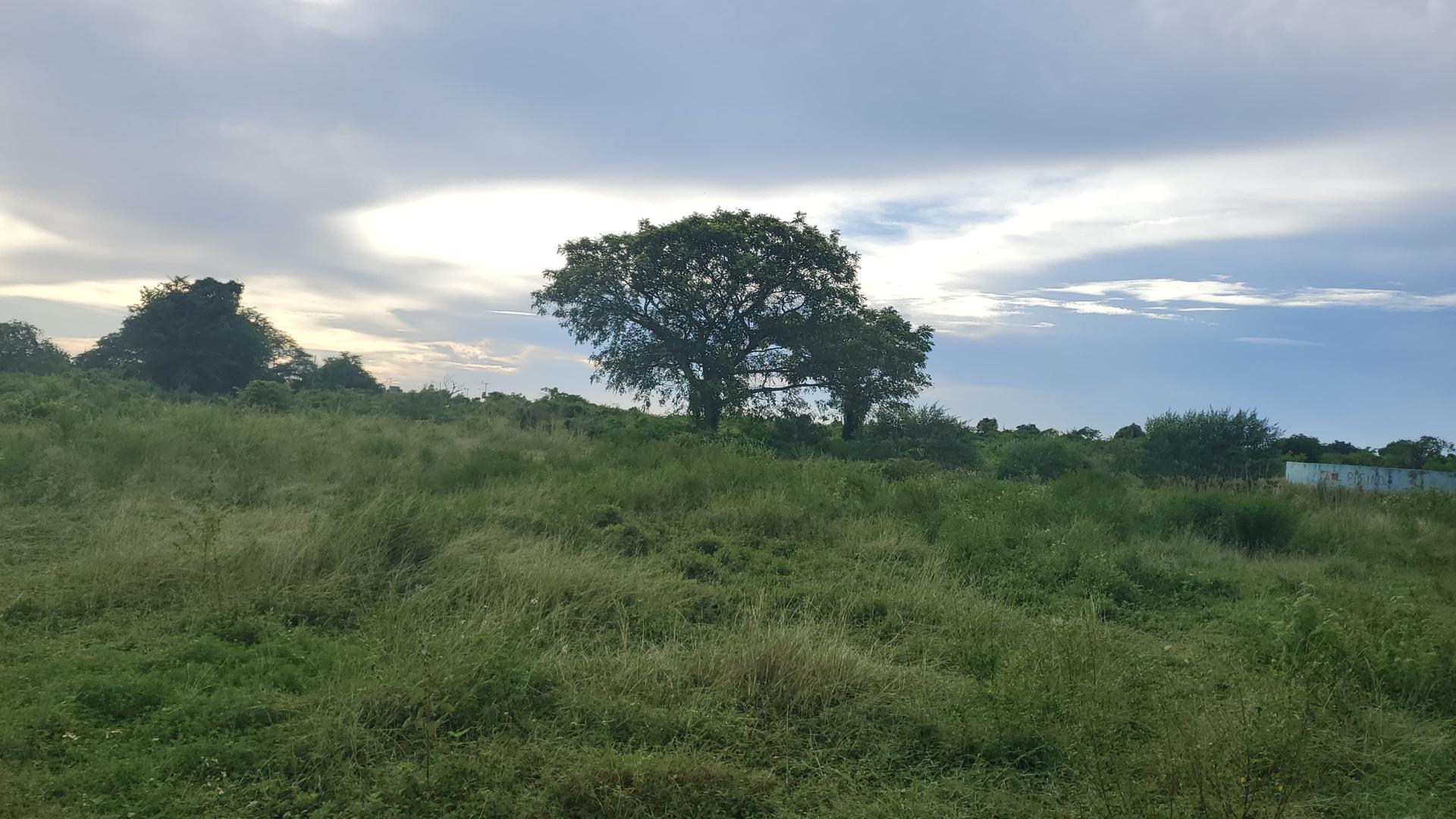 solares y terrenos - Solar / terreno de 150,000 metros en la Ecológica con Autovia de Samaná