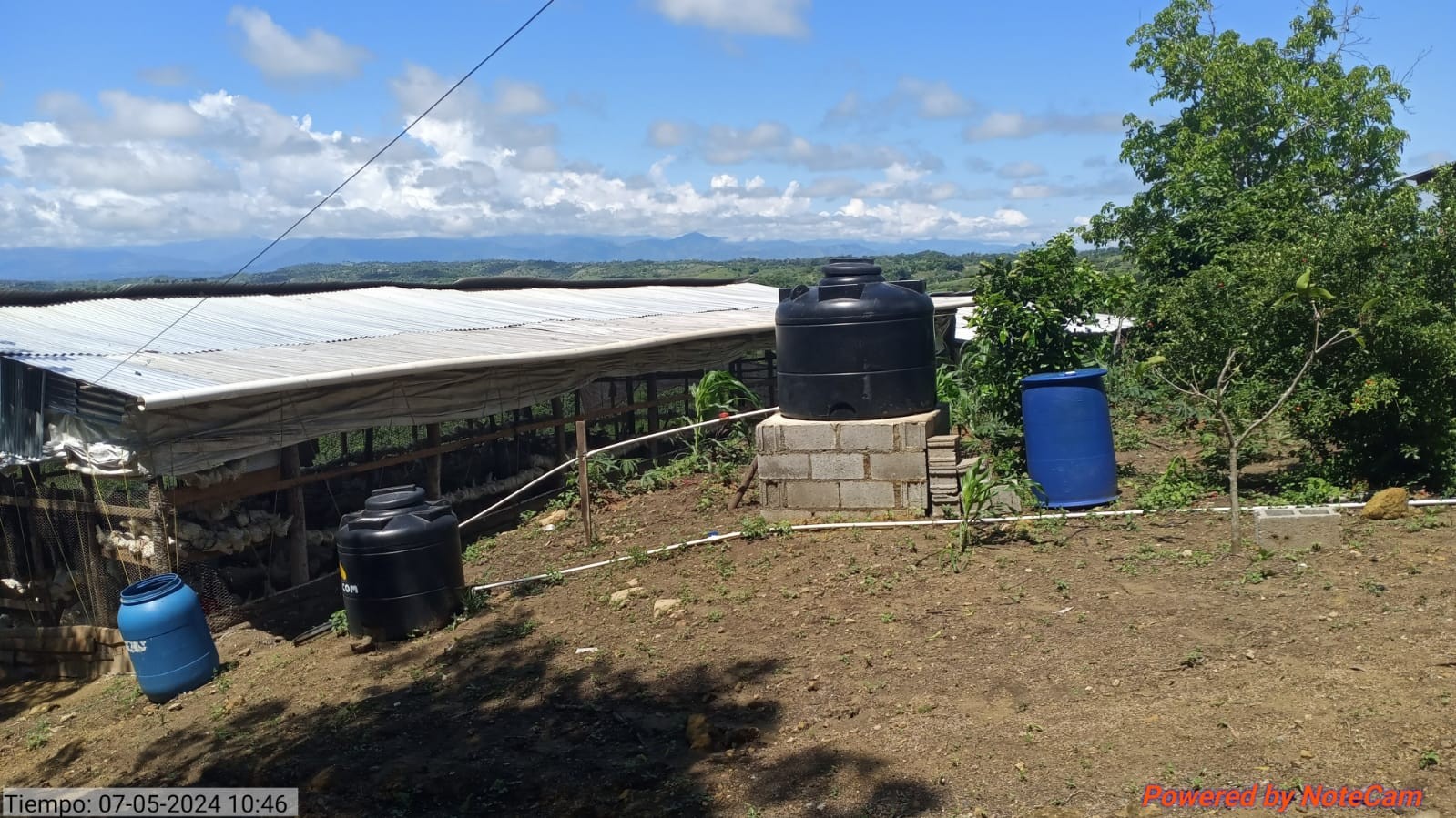 solares y terrenos - Terreno con Granja de 4,000 gallinas ponedoras 4