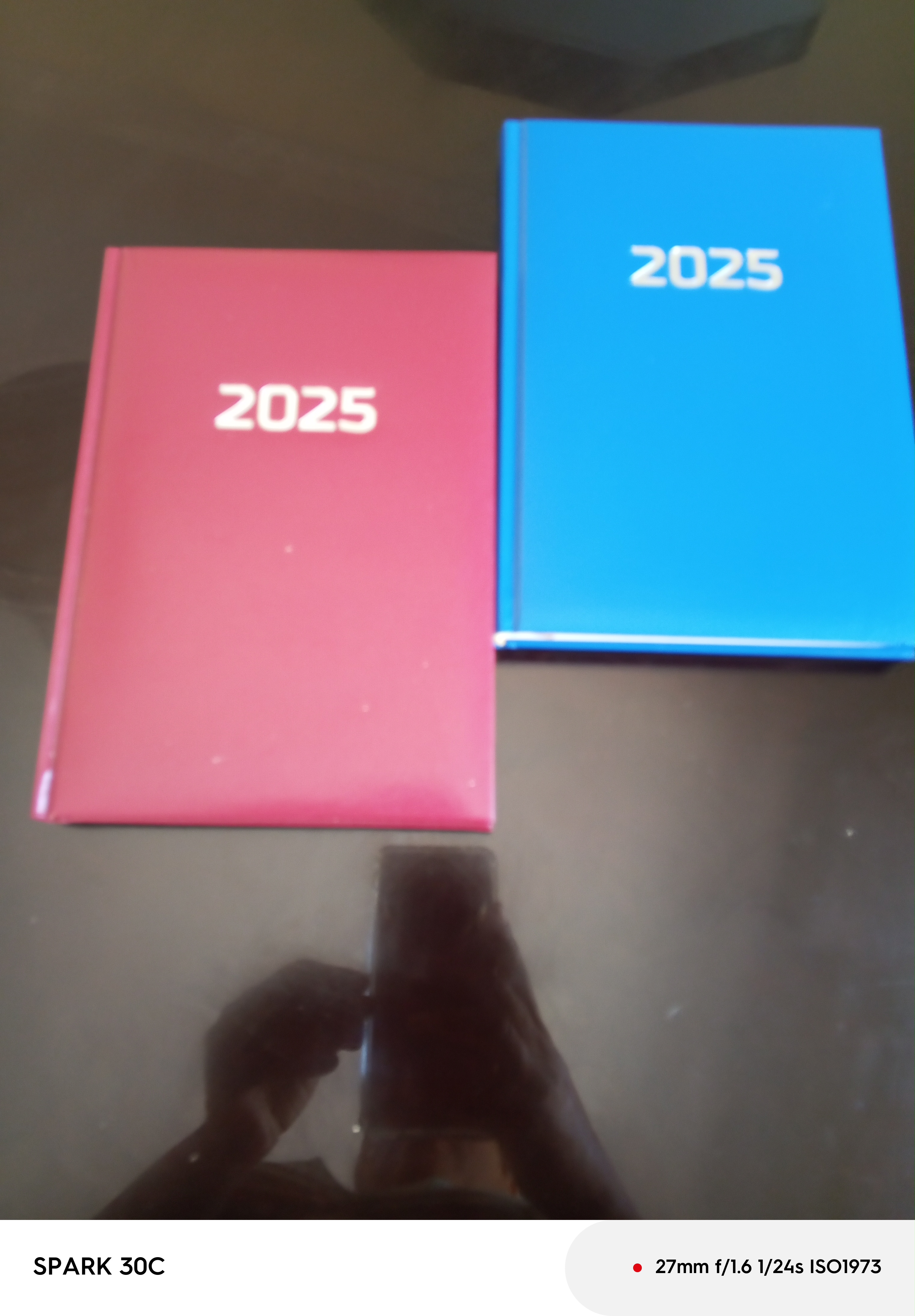 libros y revistas - AGENDAS 2025 7