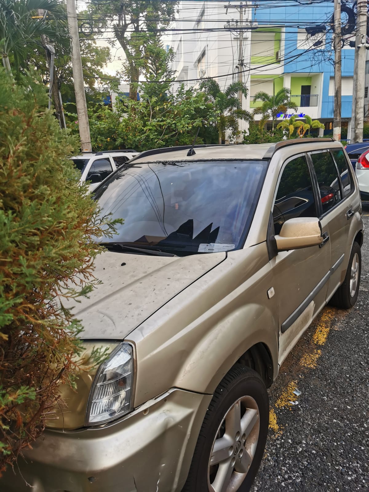 jeepetas y camionetas - Oferta: Nissan Xtrail 2006  6