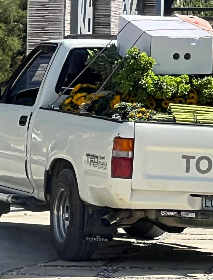 jeepetas y camionetas - Toyota pick up 9