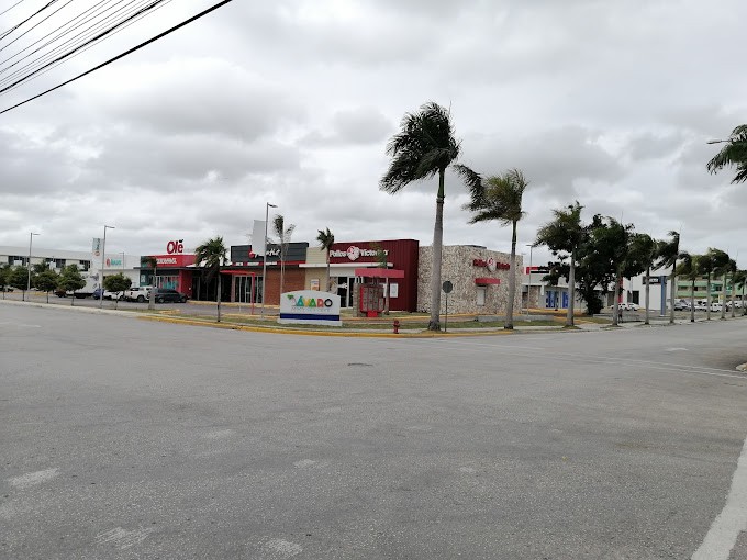 oficinas y locales comerciales - Alquiler de locales comerciales y para oficinas ubicados Bavaro City Center 1