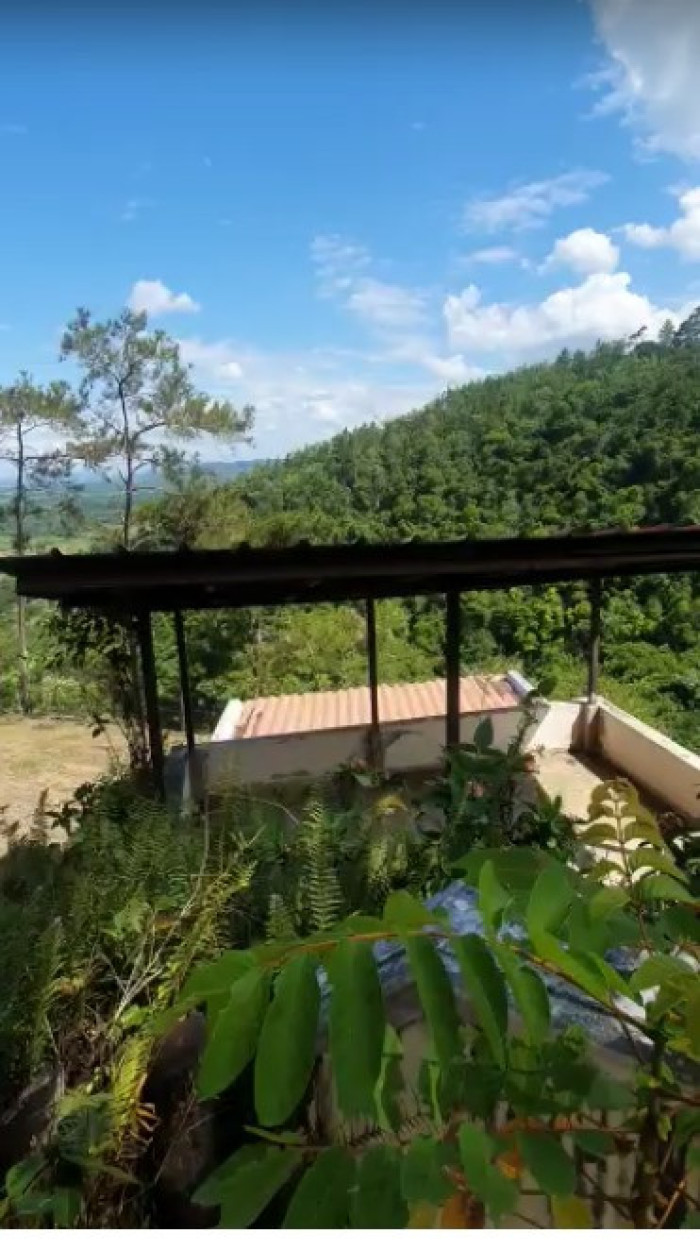 solares y terrenos - 🌄 Finca en Venta en La Vega 1