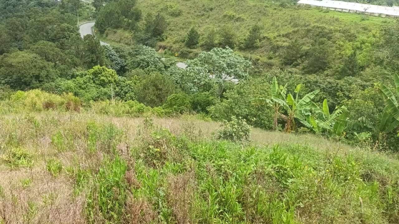 solares y terrenos - Venta Terreno en montañas de Jarabacoa con vista espectacular 360° de la ciudad 4