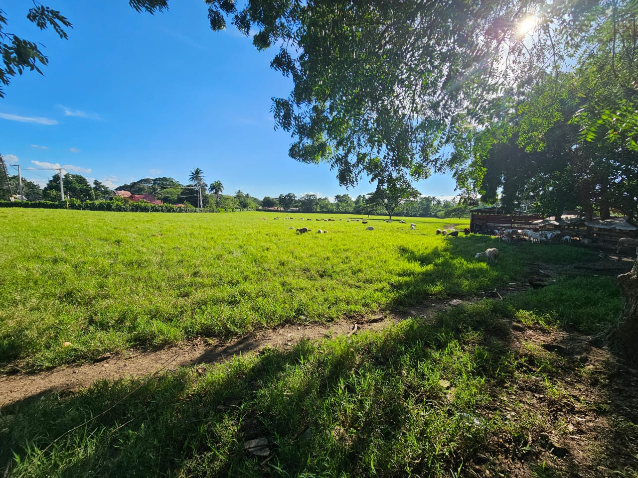 solares y terrenos - Solar de 168620m2 San Francisco de macoris 4