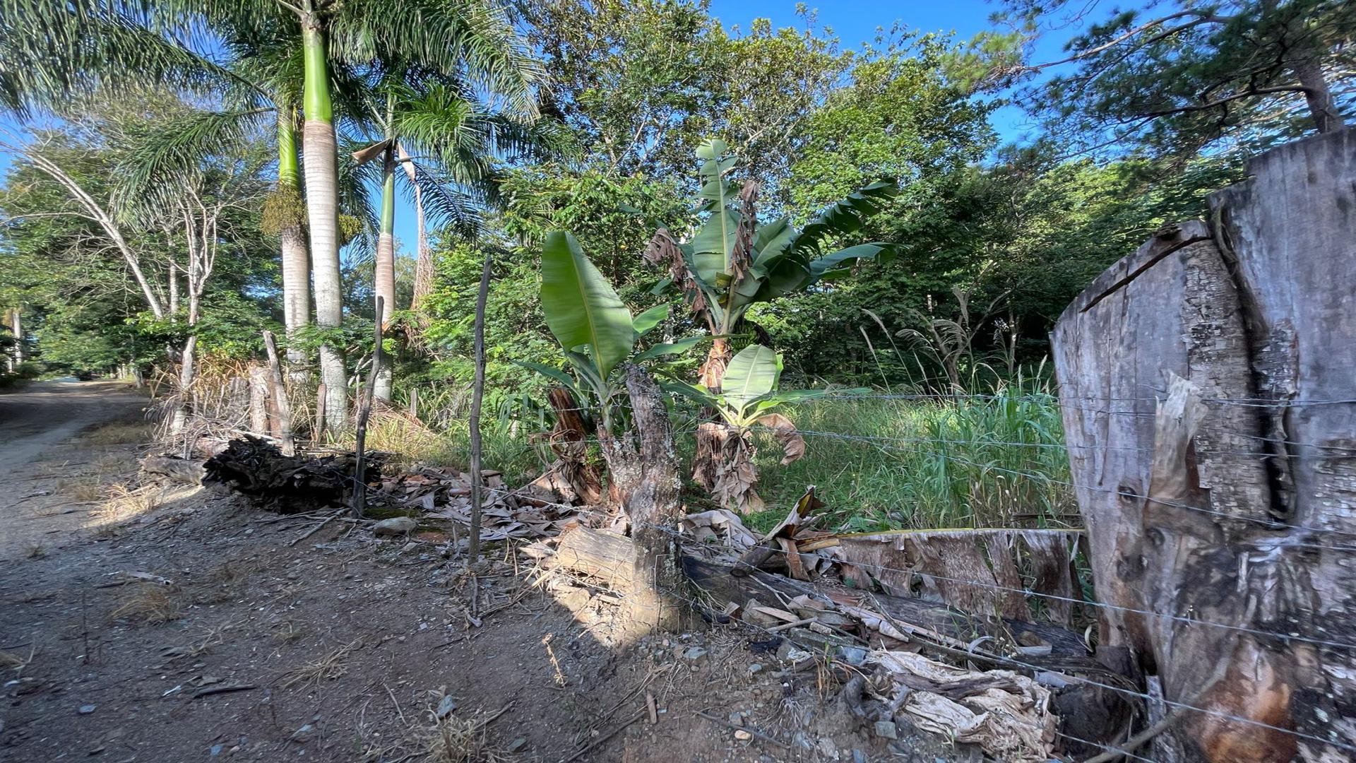 solares y terrenos - Terreno en venta en Jarabacoa 2